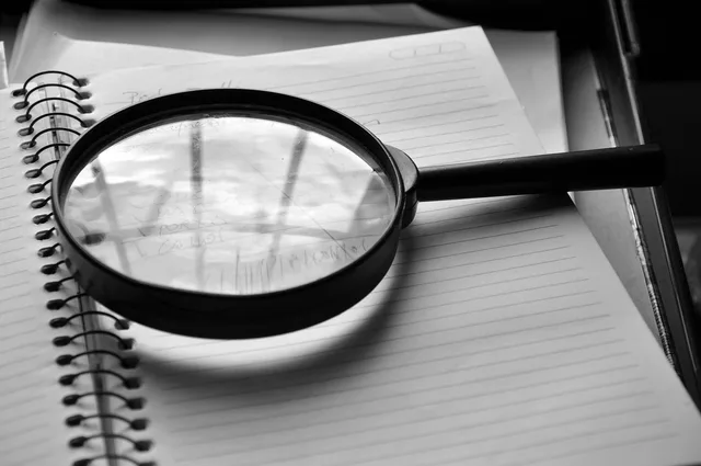 magnifying glass, journal, detail, job, the audit, magnifying glass, magnifying glass, magnifying glass, magnifying glass, magnifying glass. Paid social advertising case studies that hold up to scrutiny