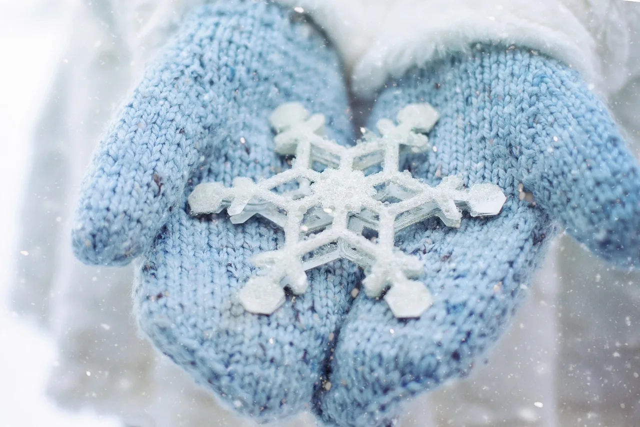 snowflake, winter, season, mittens, christmas, xmas, holiday, snowfall, celebration, seasonal, frozen, christmas wallpaper, snowflake, snowflake, snowflake, winter, christmas, christmas, christmas, christmas, christmas. US PPC ad optimization for seasonal demand: budgeting by quarter